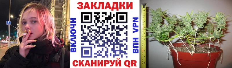 Виды наркотиков купить Кудрово МАРИХУАНА  Кокаин  Гашиш 