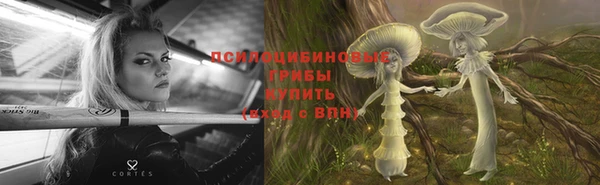 винт Осинники