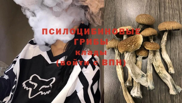PSILOCYBIN Остров