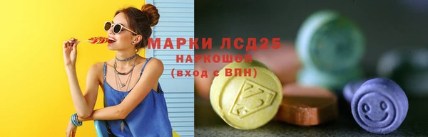 молекула духа Няндома