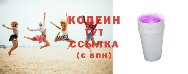 молекула духа Няндома