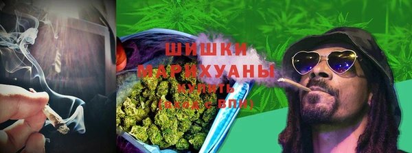 МДПВ Осташков
