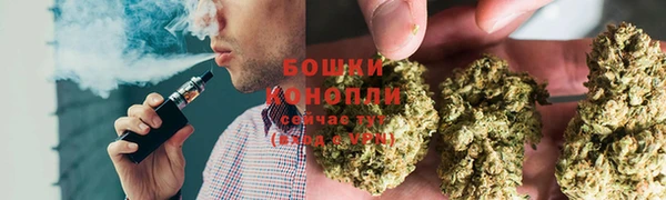 молекула духа Няндома