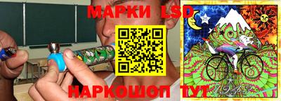 МДПВ Донецк