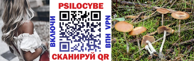 Псилоцибиновые грибы мухоморы  Кудрово 