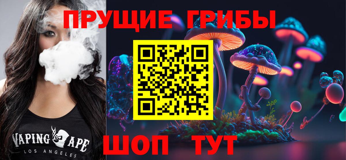 купить  цена  Вход с VPN  Кудрово  Галлюциногенные грибы MAGIC MUSHROOMS 