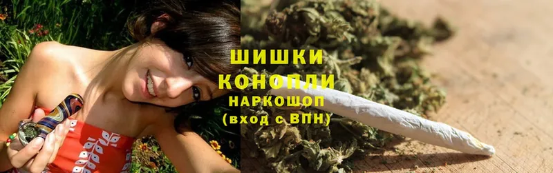 darknet наркотические препараты  Кудрово  Шишки марихуана White Widow  купить  